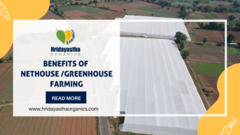 Benefits of Nethouse Greenhouse Farming