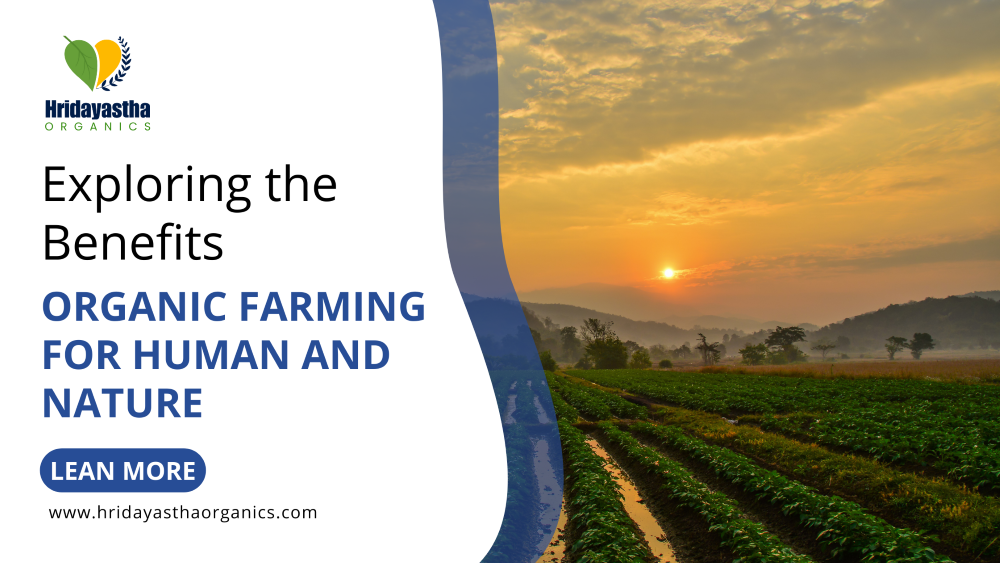 Exploring the Benefits Organic Farming for Human and Nature