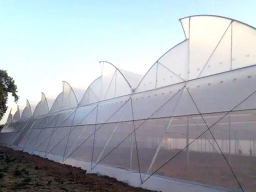 hybrid-poly-Net-House-1