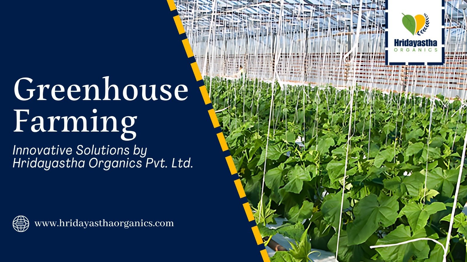 Greenhouse Farming