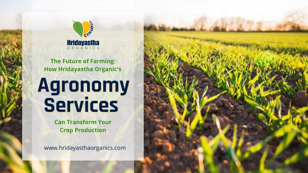 Agronomy Services