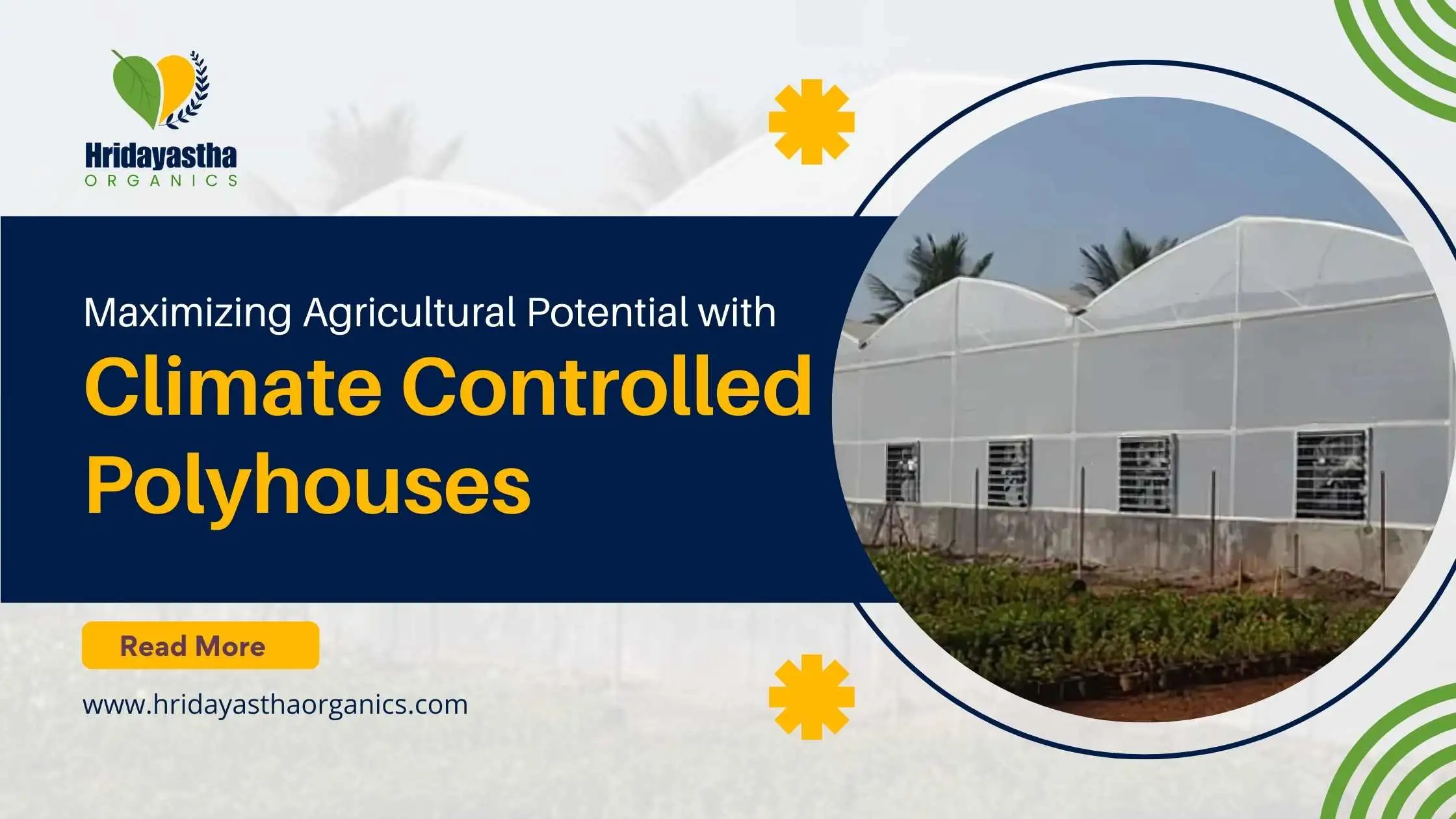 Climate Controlled Polyhouses