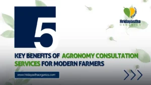 Agronomy Consultation Services